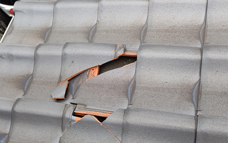 瓦の割れやズレ